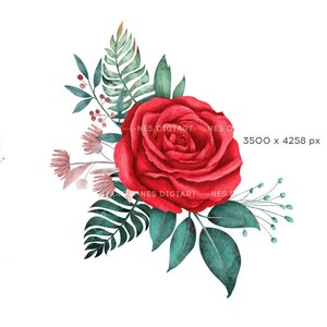 May include: A single red rose with green leaves and small white flowers. The rose is in bloom and has a delicate watercolour style.