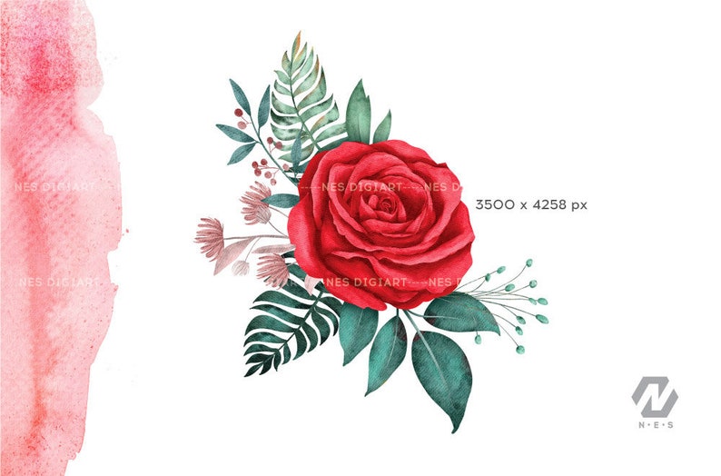 May include: A single red rose with green leaves and small white flowers. The rose is in bloom and has a delicate watercolour style.