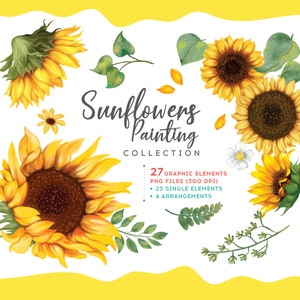 Sunflowers PNG Watercolor Painting collection bundle