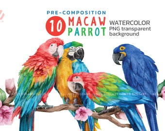 Macaw Parrot Aquarell PNG Clipart, Téléchargement instantané