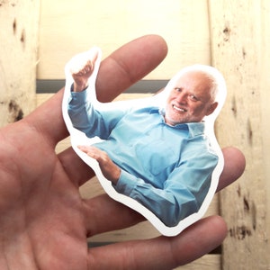 Autocollant Meme Hide The Pain Harold - fait main - autocollant bizarre - environ 6x 8 cm / 3 » x 2,4