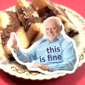 Autocollant Meme This Is Fine Harold - fait main - autocollant bizarre - environ 5,5x 7 cm / 2,3x2,3"