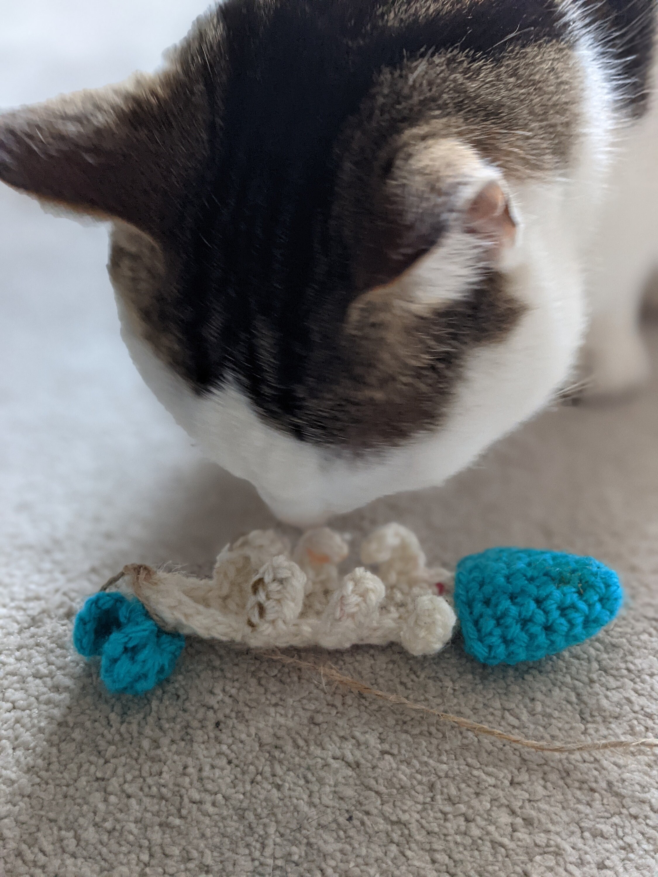 Crochet Cat toy Catnip Fish Bones Kitten Toy Catnip fish Etsy