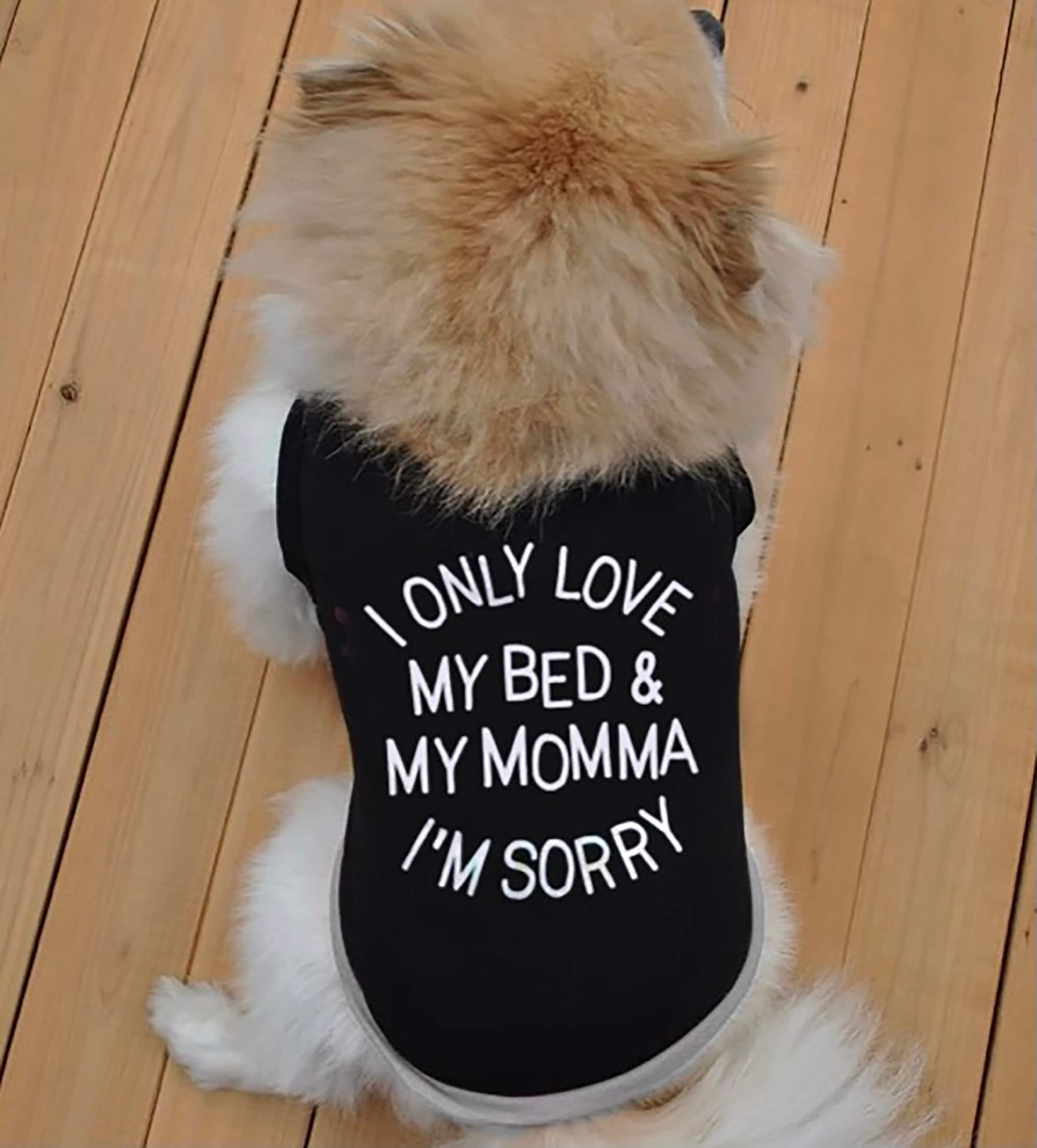 I Only Love My Bed And My Dog I'm Sorry T Shirt I Only Love My Bed And My Dog I'm Sorry T Shirt