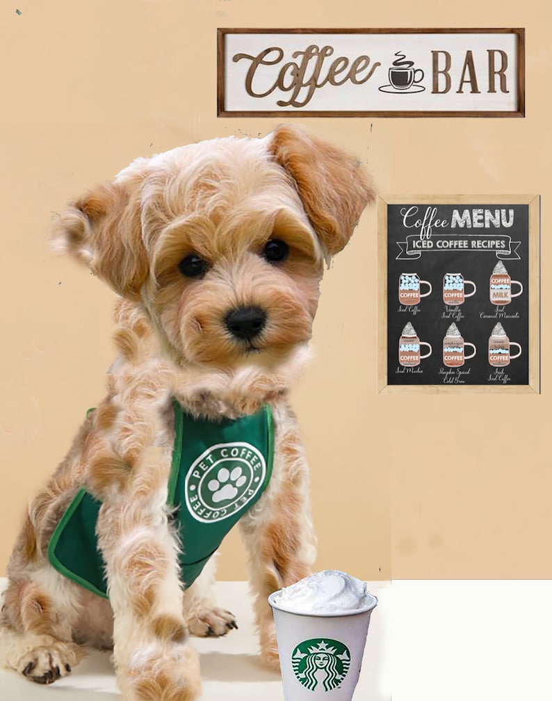 Coffee Barista pet coffee Apron | Bib Small Dog Cat Cute Costume pet coffee Uniform | Pet Clothing | 