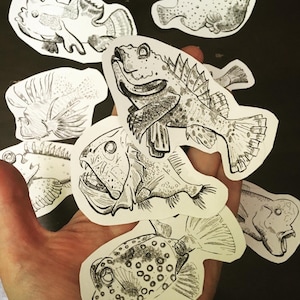 Weird Fishes Vinyl Stickers