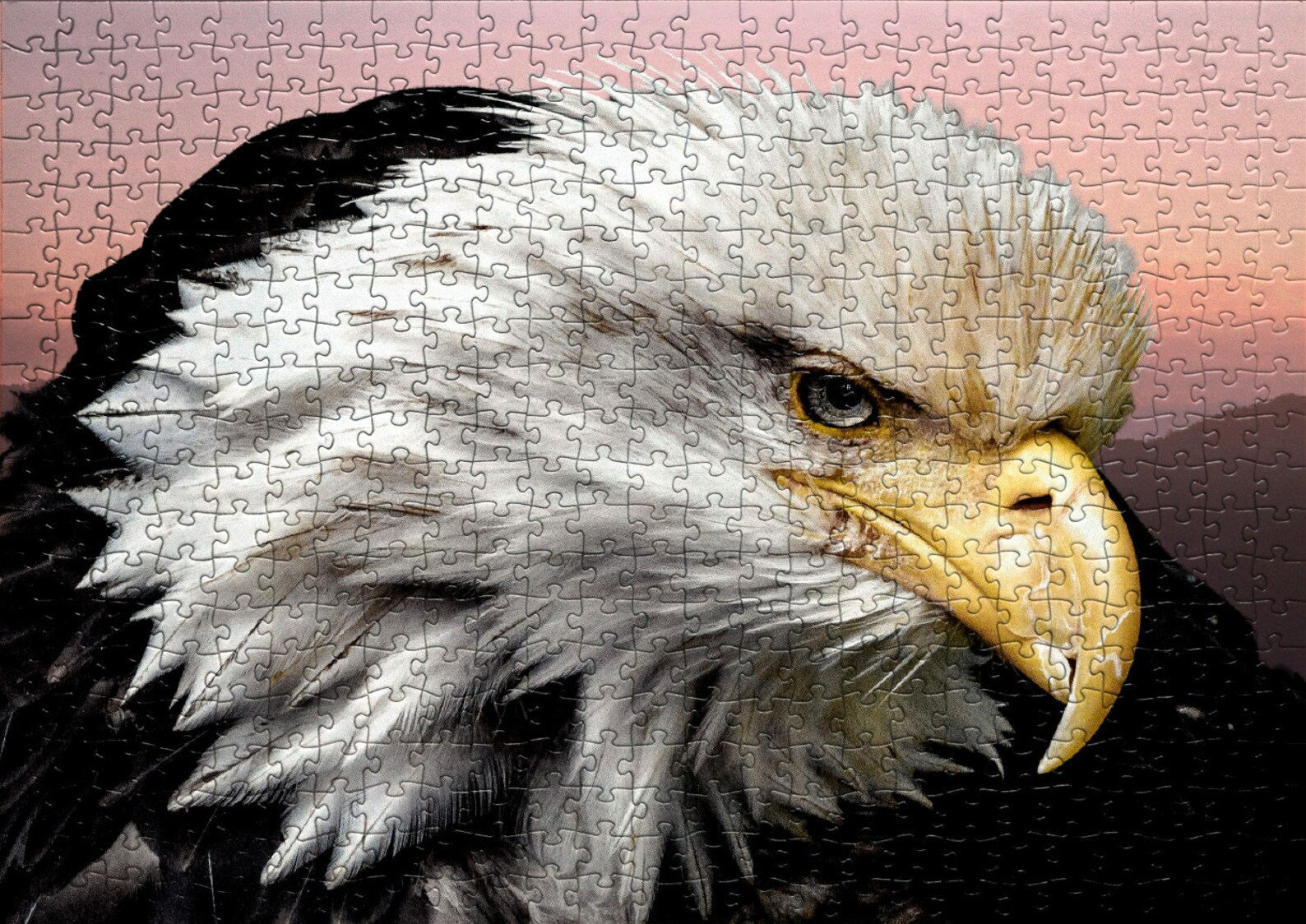 Bald Eagle Puzzle Gift Etsy