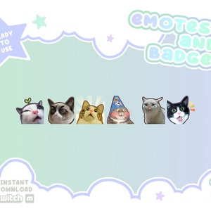 Twitch Emotes and Badges Meme Cat