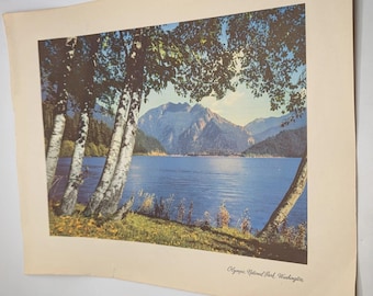 Olympic National Park Washington COLOR Print by Standard Oil