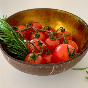 Coconut bowl: Color wooden bowl made of recycled coconut (polished, lacquered) natural, vegan, environmentally friendly - gold, silver, pink