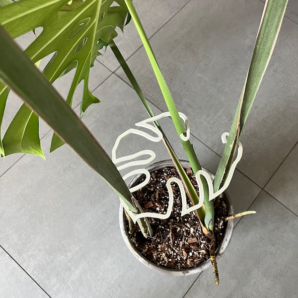 Schöne Pflanzenpflanze „Monstera-vormige“ in Ölgrün, Weiß und Beige – perfekt für den Pflanzentyp Elch