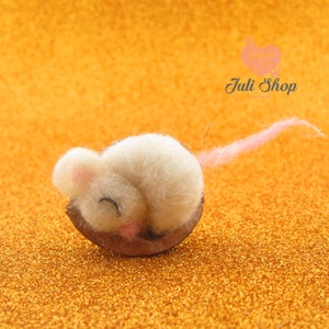 Schläfrige Maus in Walnussschale Baby Maus gefilzte Maus Kühlschrankmagnet nadelgefilzte Mäuse in kleinen Krippenmäuse schlafende Filzmäuse Muttertagsgeschenk