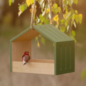 Hanging Bird Feeder for the outdoors | Modern Bird Feeder in 7 colorways