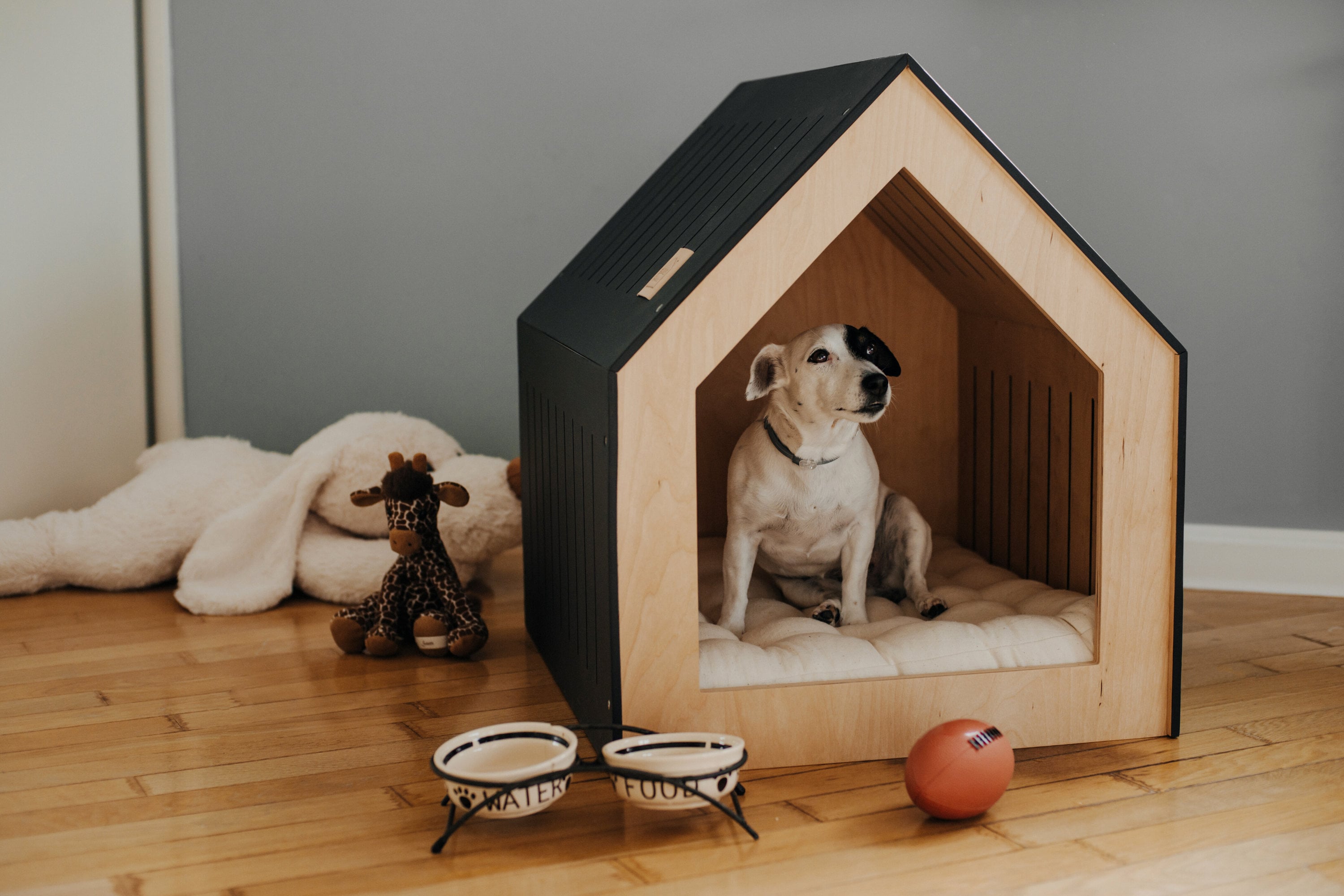 Indoor Dog House For Medium Dogs