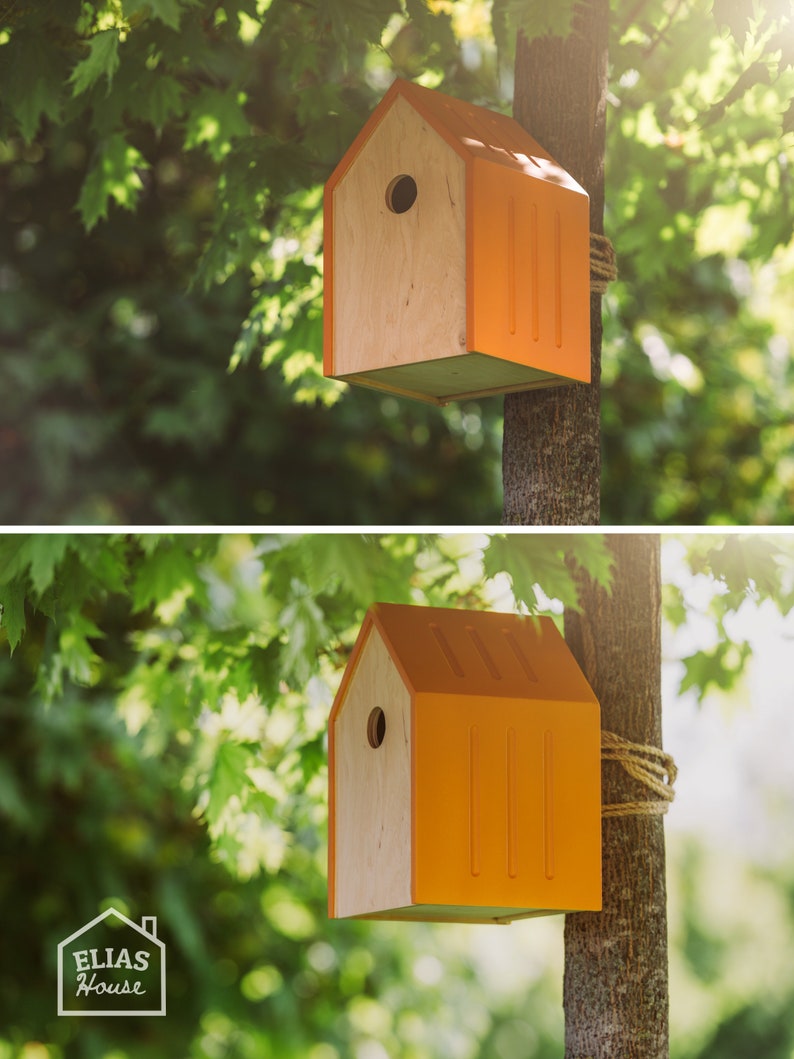 Bird Feeder & Bird House Birdfeeder and Birdhouse Bird Etsy