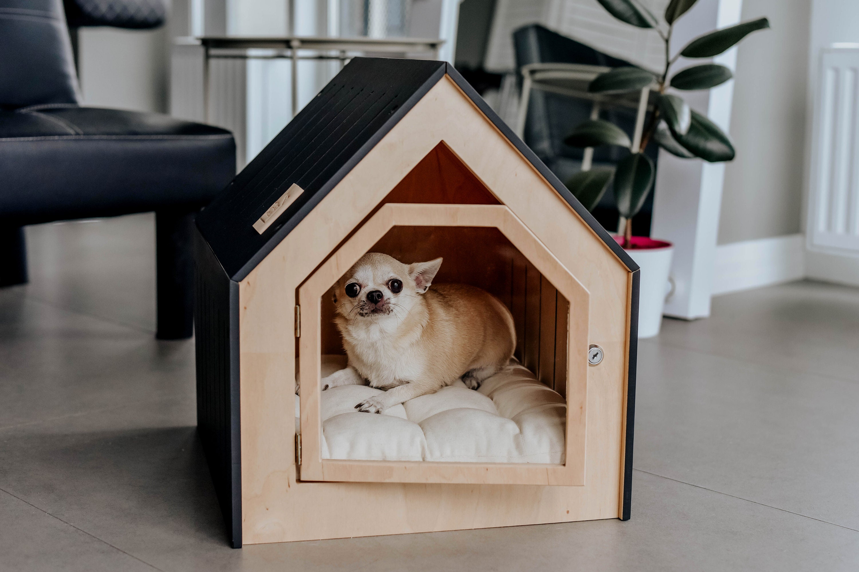 get tear stains off white dog