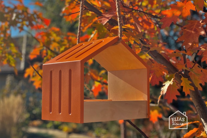 orange bird feeder hanged on a tree