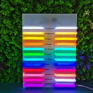 May include: A color chart with 12 different neon colors, labeled with their names and numbers. The colors include cool white, warm white, yellow, orange, light green, green, light blue, blue, red, light pink, hot pink, and violet.
