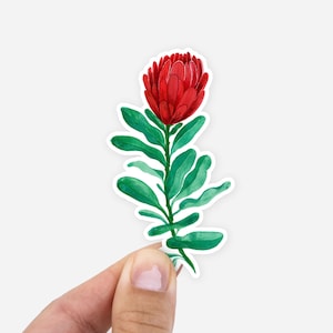 Watercolor Protea Sticker Pretty Floral Laptop Decal or Bumper Car Sticker Waterproof Outdoor Durable Red & Green Flower Sticker Plant image 1