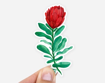 Watercolor Protea Sticker | Pretty Floral Laptop Decal or Bumper Car Sticker | Waterproof Outdoor Durable Red & Green Flower Sticker Plant