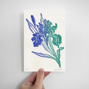 Colorful Iris Linocut Print Small Handmade Gradient Sustainable Floral Linocut Print Home Decor Gift Flower Wall Art Collectible Hanging image 2