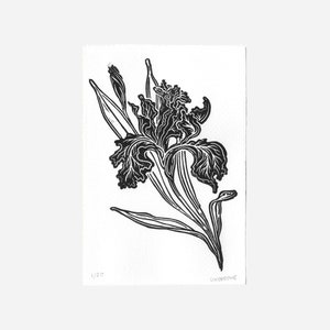 Colorful Iris Linocut Print Small Handmade Gradient Sustainable Floral Linocut Print Home Decor Gift Flower Wall Art Collectible Hanging Black & White