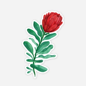 Watercolor Protea Sticker Pretty Floral Laptop Decal or Bumper Car Sticker Waterproof Outdoor Durable Red & Green Flower Sticker Plant image 2