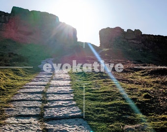 Stampa del percorso di mucca e vitello / Ilkley Moor Yorkshire / Fotografia di paesaggio a colori / Arte della parete