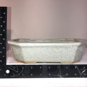 May include: A white ceramic bonsai pot with a crackled glaze. The pot is rectangular with rounded corners and has a slightly raised lip around the top edge. The pot is approximately 7 inches long and 4 inches wide.