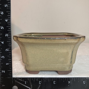 May include: A square, light green bonsai pot with a brown rim and four small feet. The pot is approximately 5 inches wide.