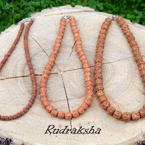 Può includere: Tre collane mala in Rudraksha marrone di diverse lunghezze, realizzate con perline dalla superficie testurizzata, sono esposte su una superficie in legno. Le collane sono infilate con chiusure in metallo argentato.