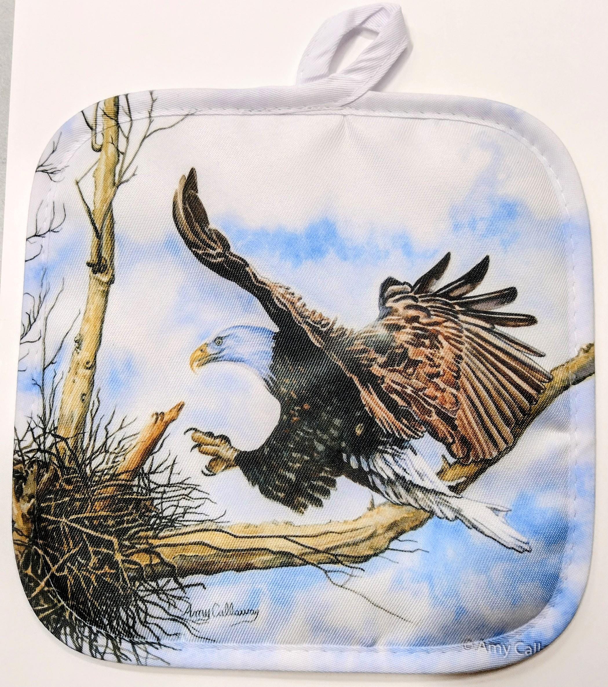 Falcon's Nest Cal Peregrine Falcon Cam Falcons Decorah Bald Eagles Live Cam  Southwest Eagle Cam Live