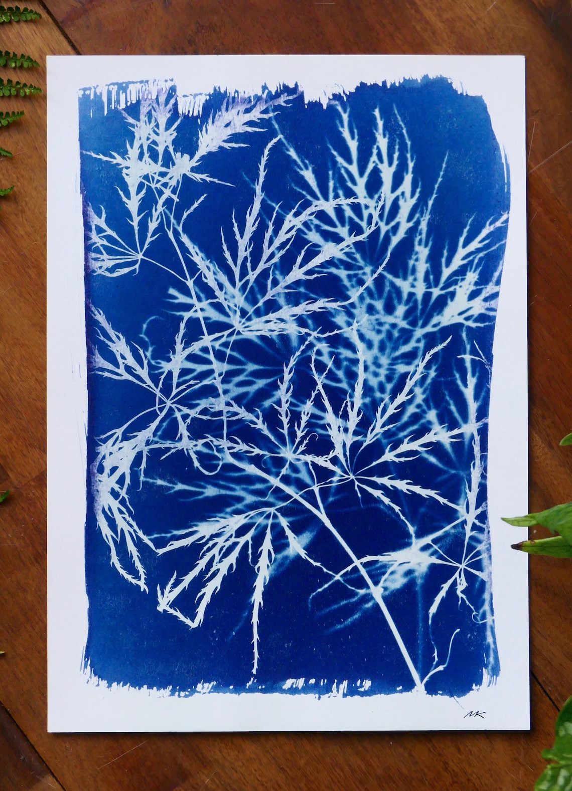 Japanese Maple Wall Art A4 original Cyanotype Etsy