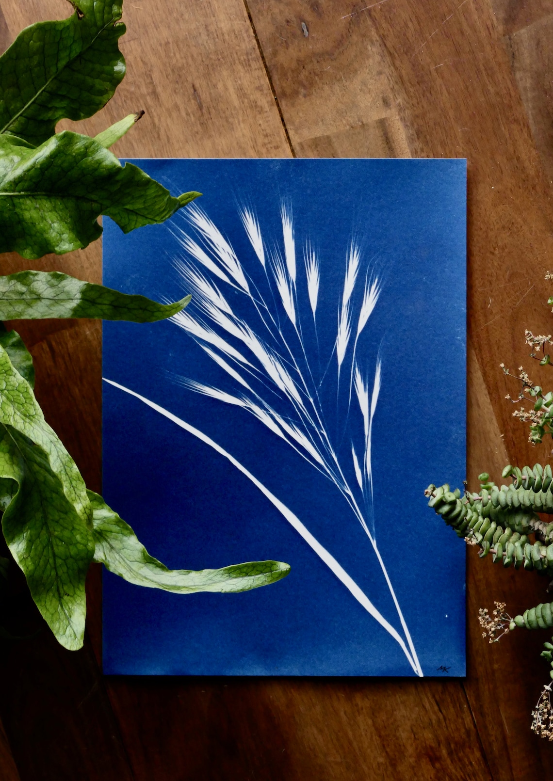 Ornamental Grass Wall Art Original Cyanotype Handmade Etsy
