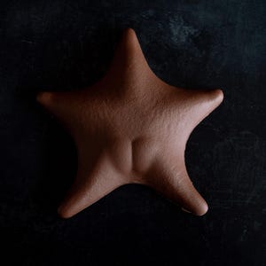 May include: A brown, five-pointed star-shaped object with a textured surface. The star has rounded points and a slight indentation in the centre. The object is set against a dark background.