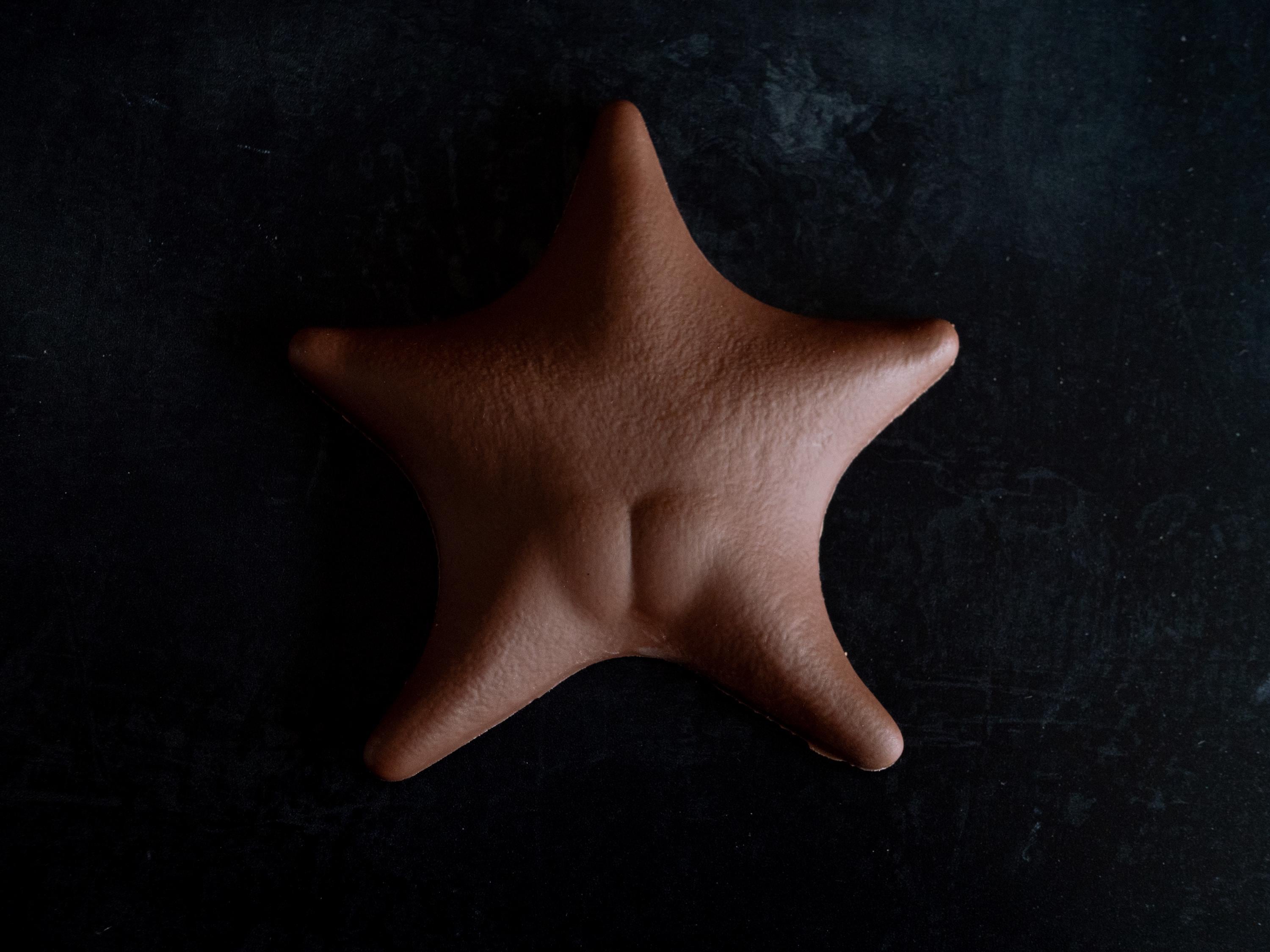 米12” Cosmic Force Trinidad Bump / Chocolate Starfish SB05005 	SUPER BRO /00250 51F91Fs33sL.jpg_BO30,255,255,