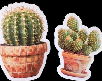 Pegatina de cactus: vinilo de planta del desierto