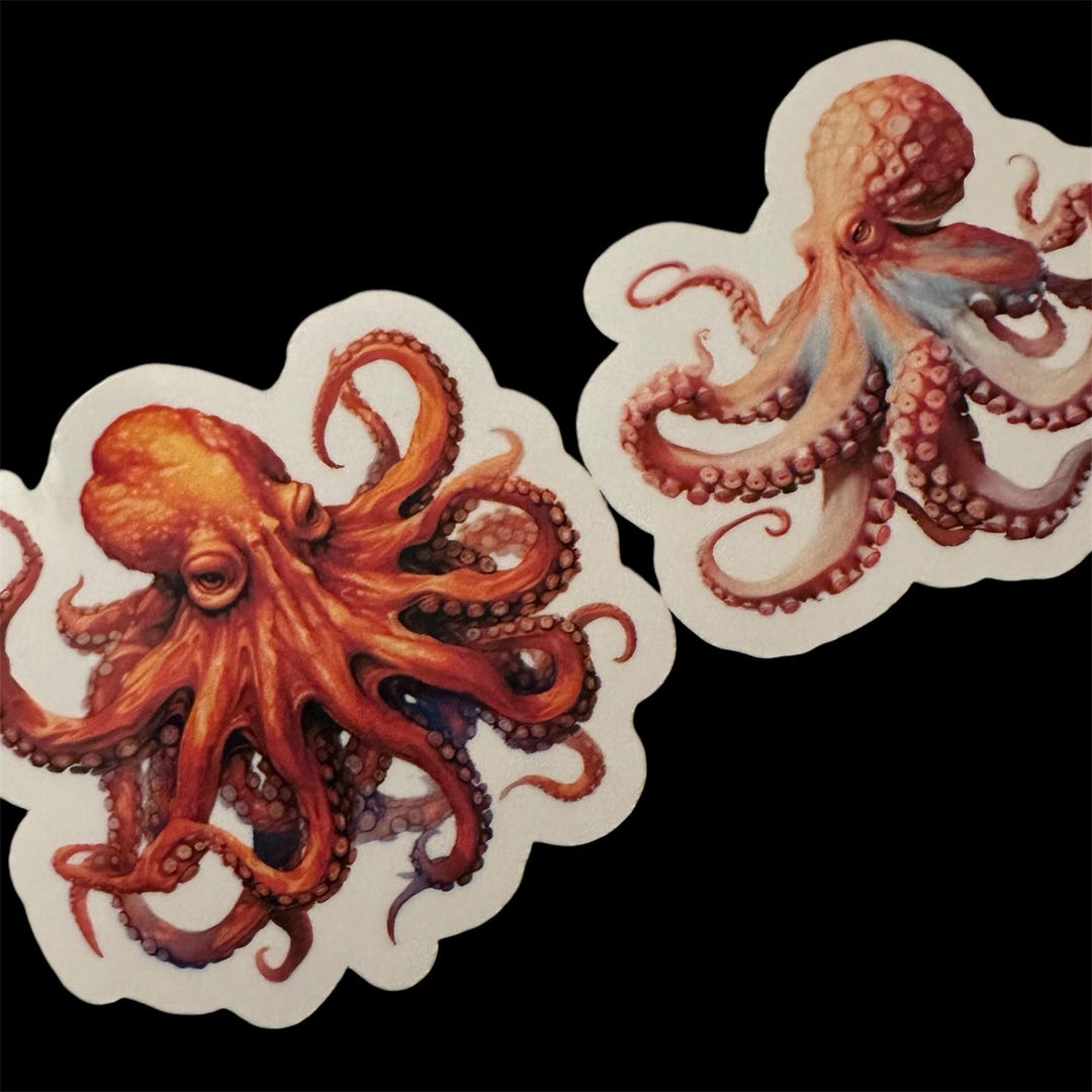 Nemo Octopus Sticker Octopus Stickers - Set of 2 Adorable Designs for Ocean Lovers, Perfect ...
