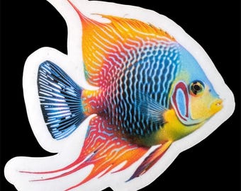 Anglefish – Vinyl Die-Cut Sticker – Weatherproof Laptop Water Bottle Journal Sticker