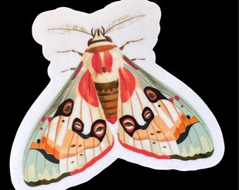Pegatina de polilla detallada: calcomanía de vinilo