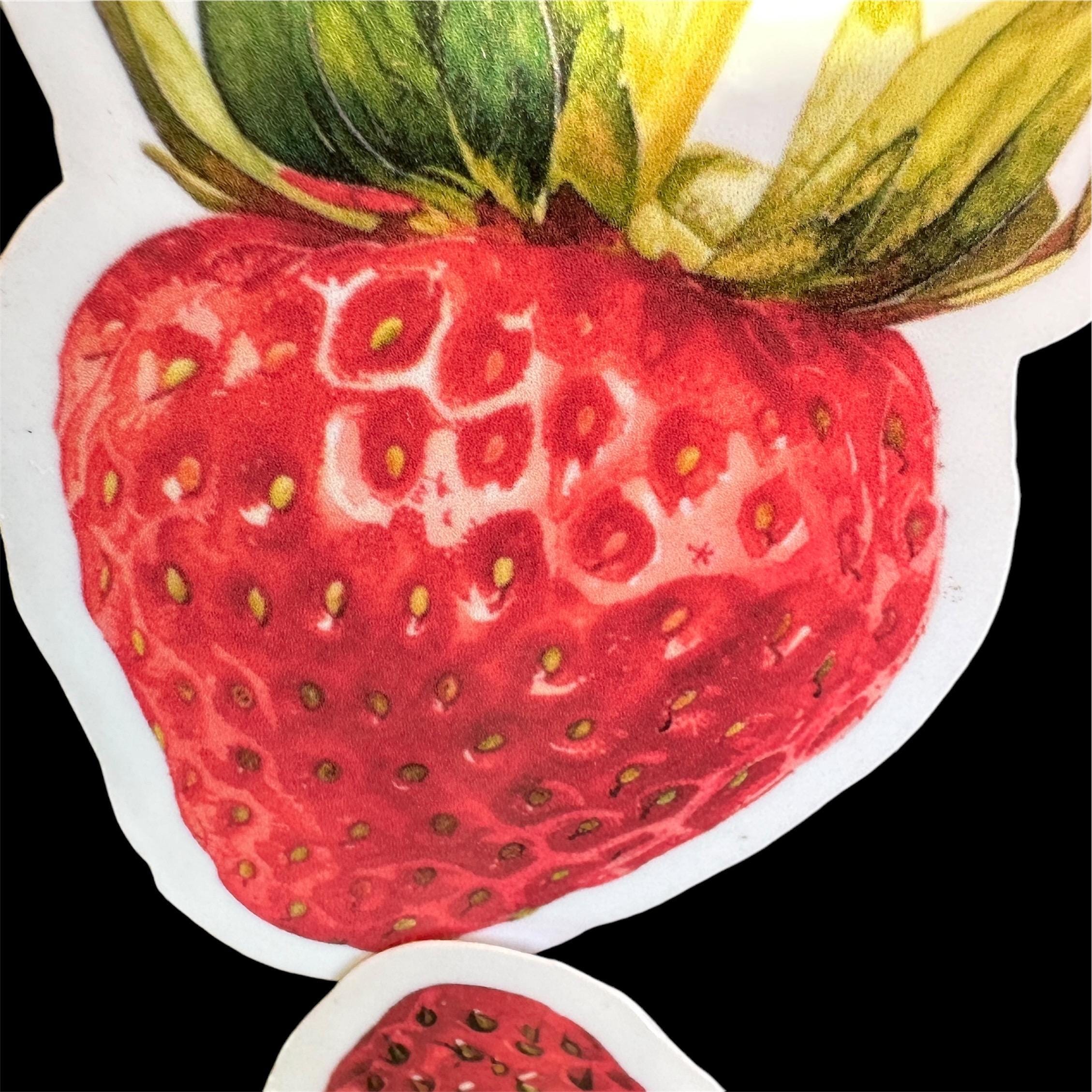Strawberry – Vinyl Die-cut Sticker – Weatherproof Laptop Water Bottle ...