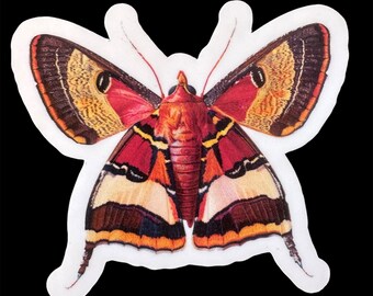 Pegatina de polilla elegante: vinilo