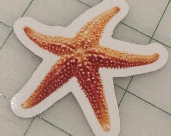 Starfish Sticker | Vinyl Waterproof | Die Cut Sticker | AI Generated