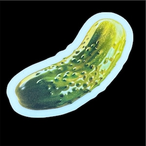 May include: A green pickle with a light green and yellow hue. The pickle is shaped like a cucumber and has a bumpy texture.