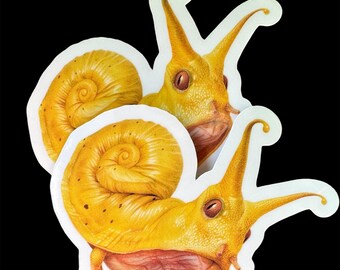 Banana Slug – Vinyl Die-Cut Sticker – Weatherproof Laptop Water Bottle Journal Sticker