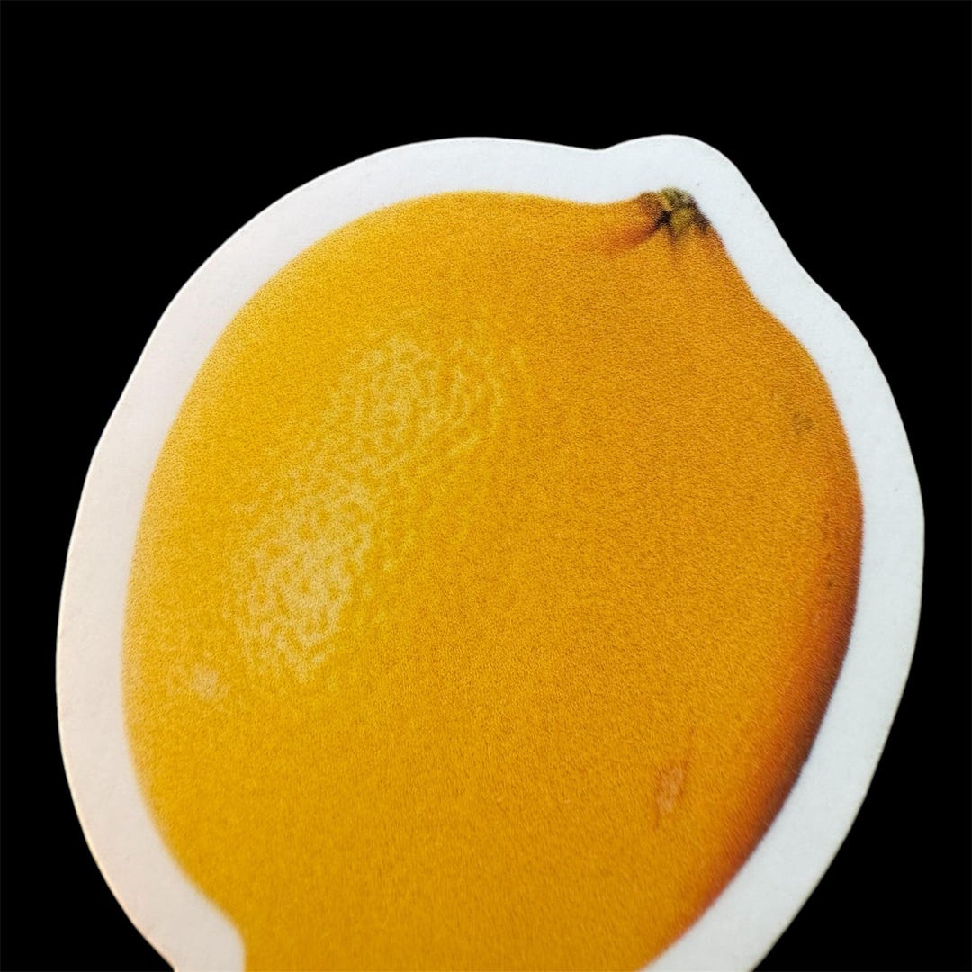 Lemon – Vinyl Die-cut Sticker – Weatherproof Laptop Water Bottle ...