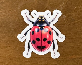 Ladybug Sticker | Vinyl Waterproof | Die Cut Sticker | AI Generated