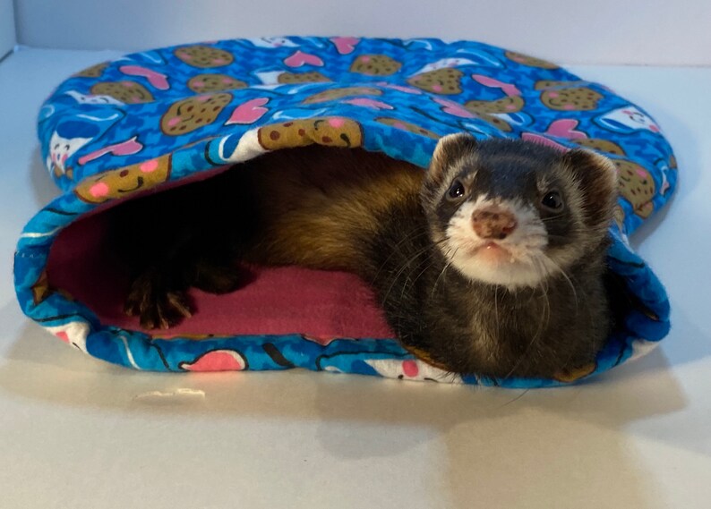 sugar gliders rats guinea pigs hedgehogs chinchillas Bumblebees Nugget Napper for ferrets