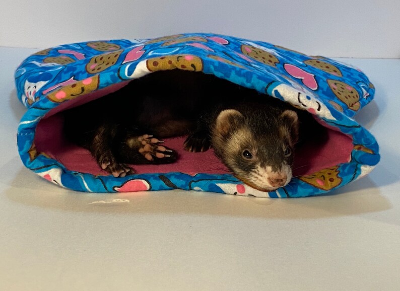 sugar gliders rats guinea pigs hedgehogs chinchillas Bumblebees Nugget Napper for ferrets