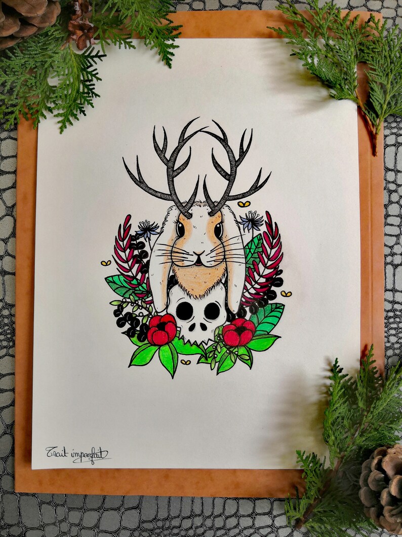 Original illustration Original illustration Jackalope